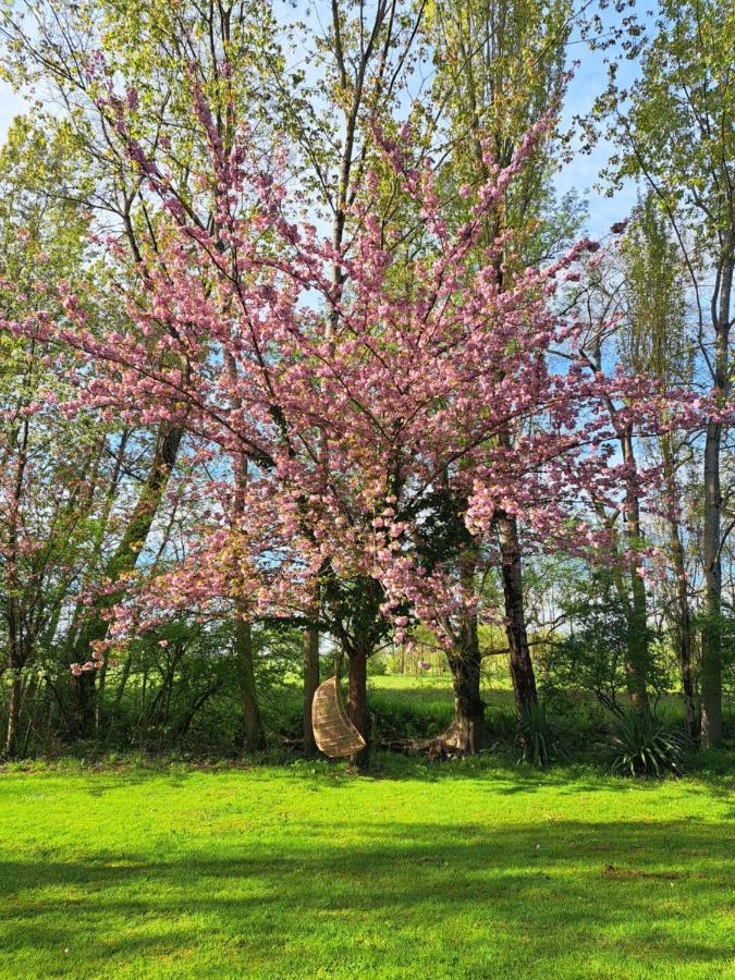 Le Moulin Etourneau - 3 Gites Avec 2 Piscines Champagnac  Kültér fotó