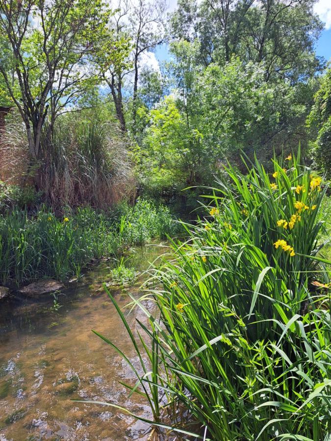 Le Moulin Etourneau - 3 Gites Avec 2 Piscines Champagnac  Kültér fotó